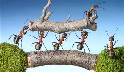 Takım çalışması ve performans yönetimiyle verimlilik artırma