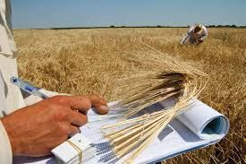 Tarımda Ortak Akıl Uygulamaları